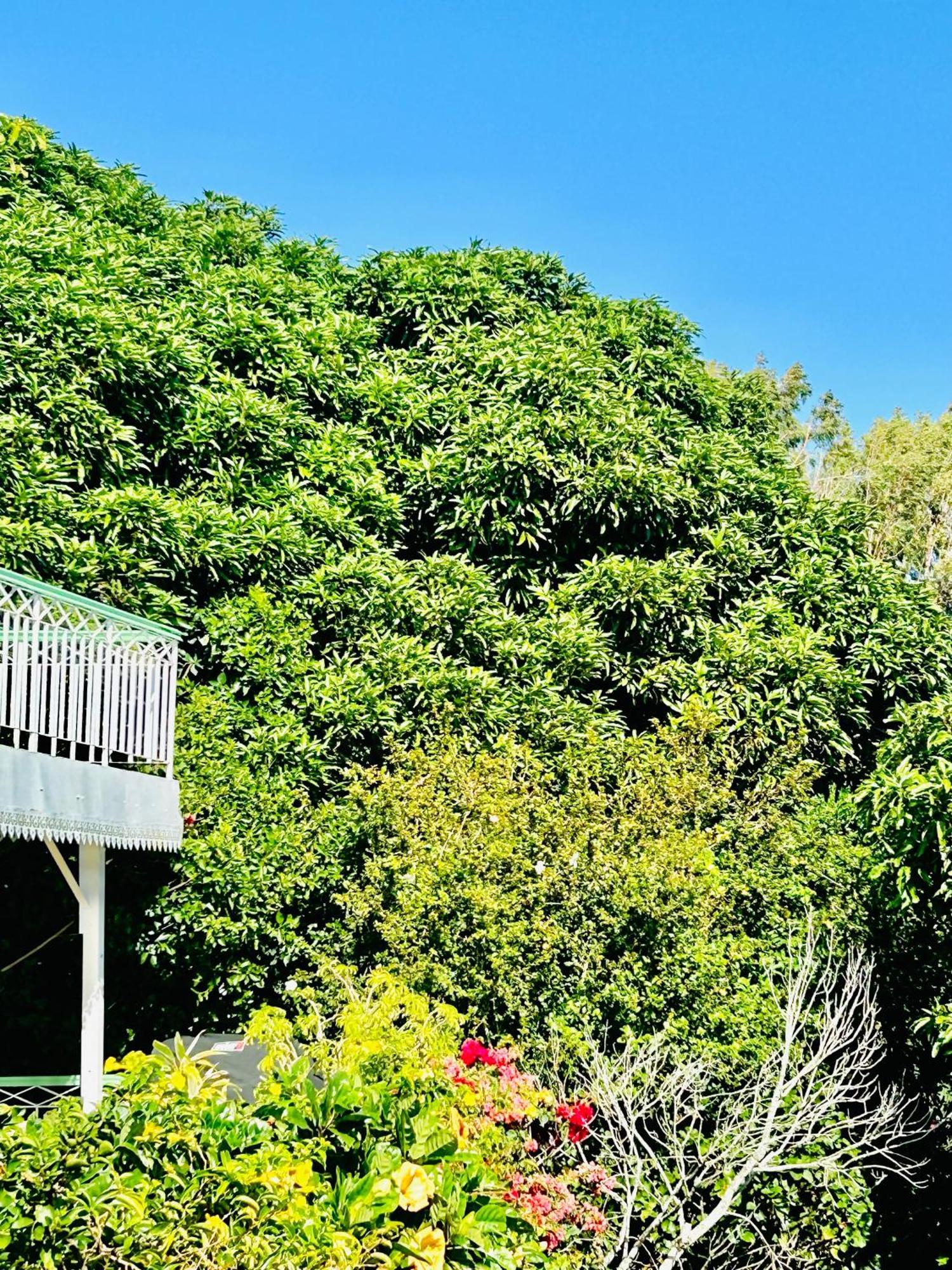 Lakaz Kreol Soupir Tourist Chalet *